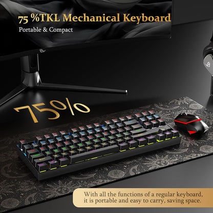 Redragon Kumara K552 Rainbow LED Backlit TKL Ten Key-Less Mechanical Wired Gaming Keyboard Without Numlock Keys (Black)